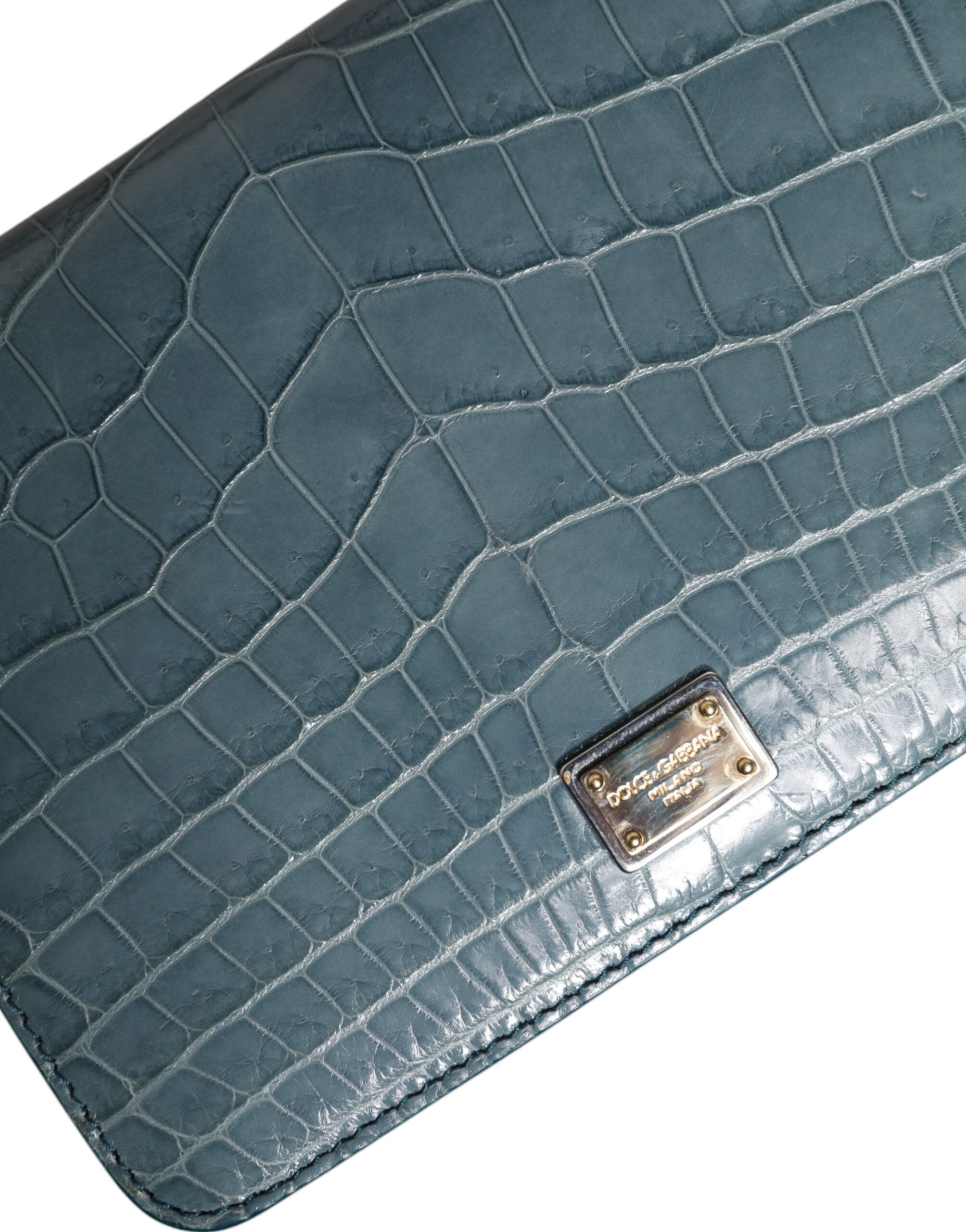 Dolce & Gabbana Green Exotic Leather DG Plaque Crossbody Mini Bag-6