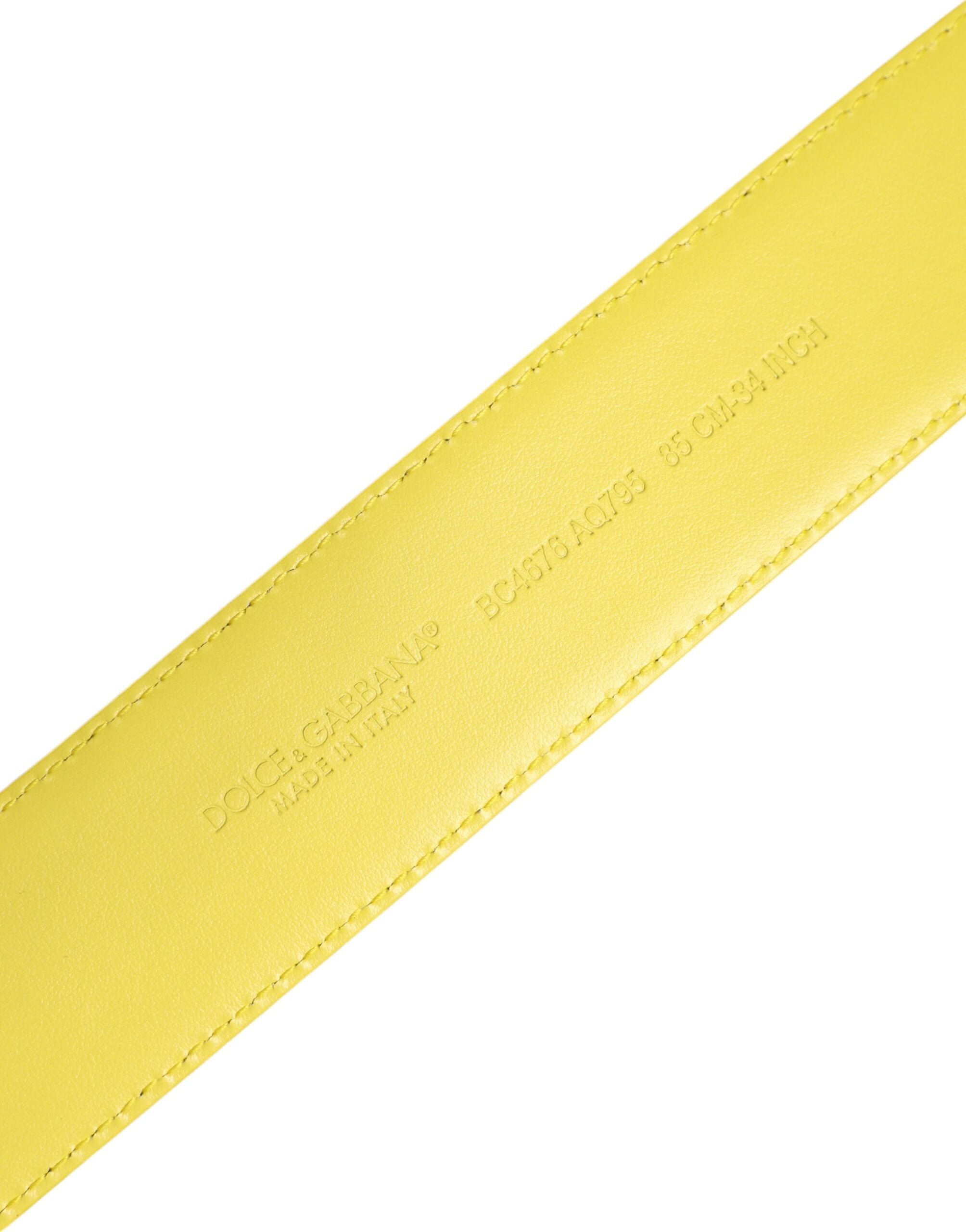 Cinturón con hebilla clásica de metal con logotipo en amarillo y verde de Dolce & Gabbana-5