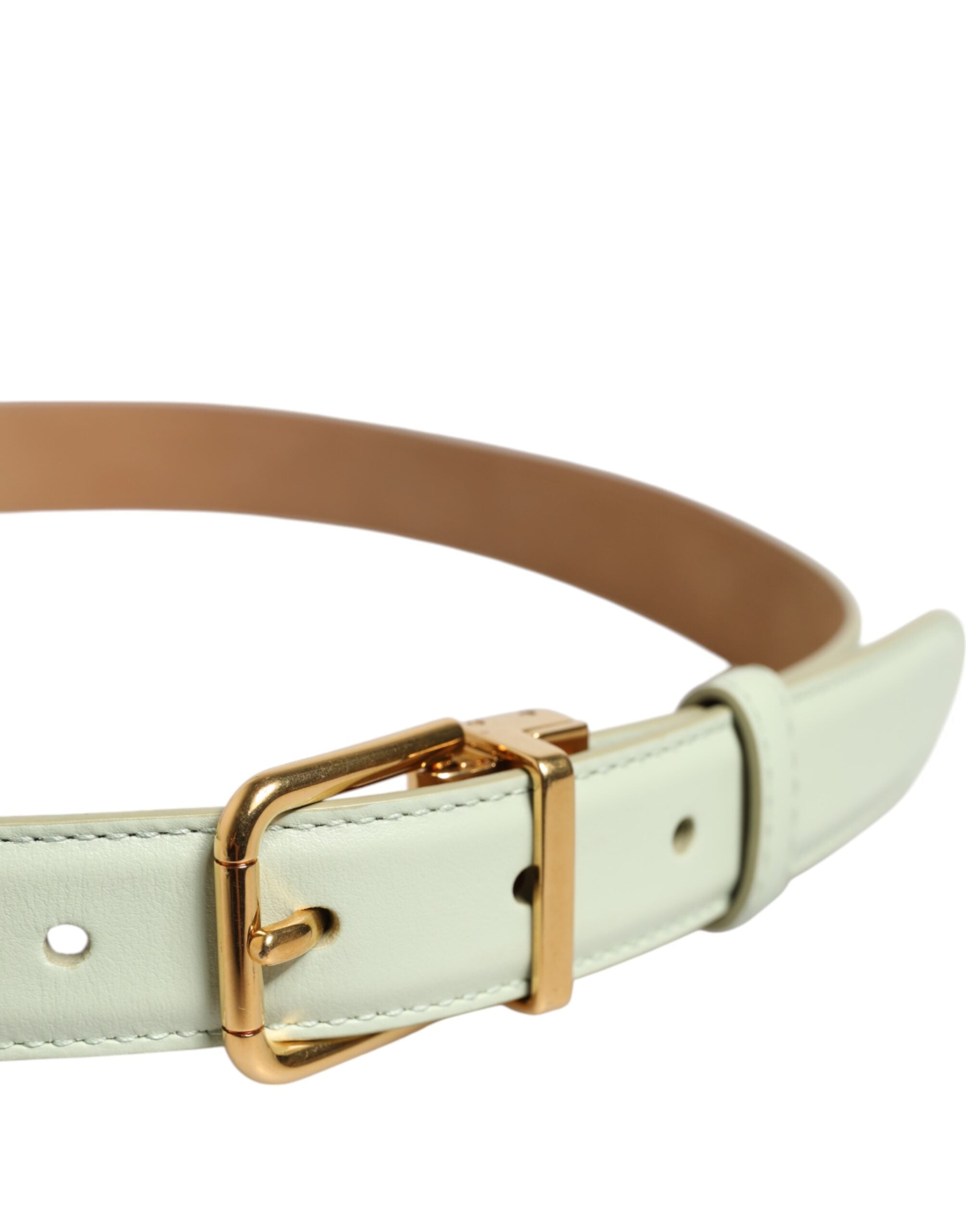 Dolce & Gabbana light green leather belt with gold metal buckle-4