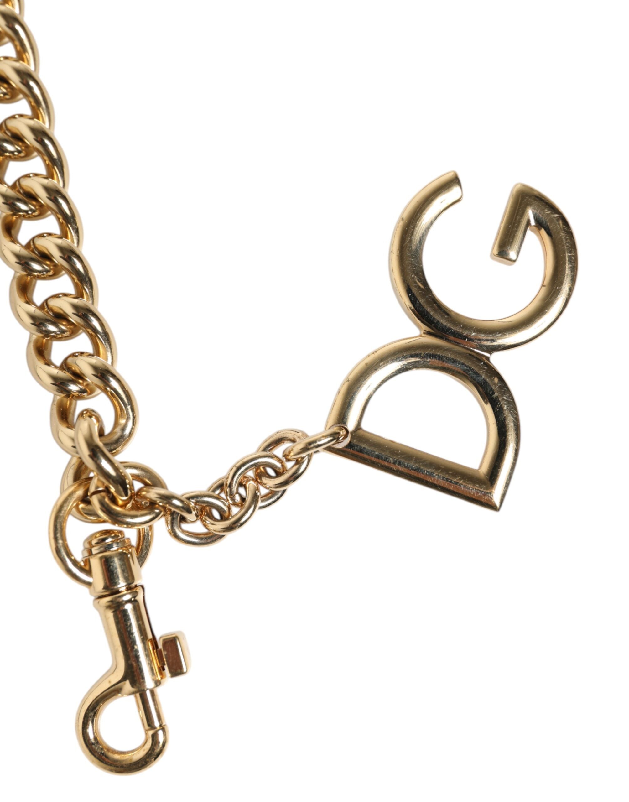 Dolce & Gabbana Brown Leopard Gold Brass Chain Accessory Shoulder Strap-3