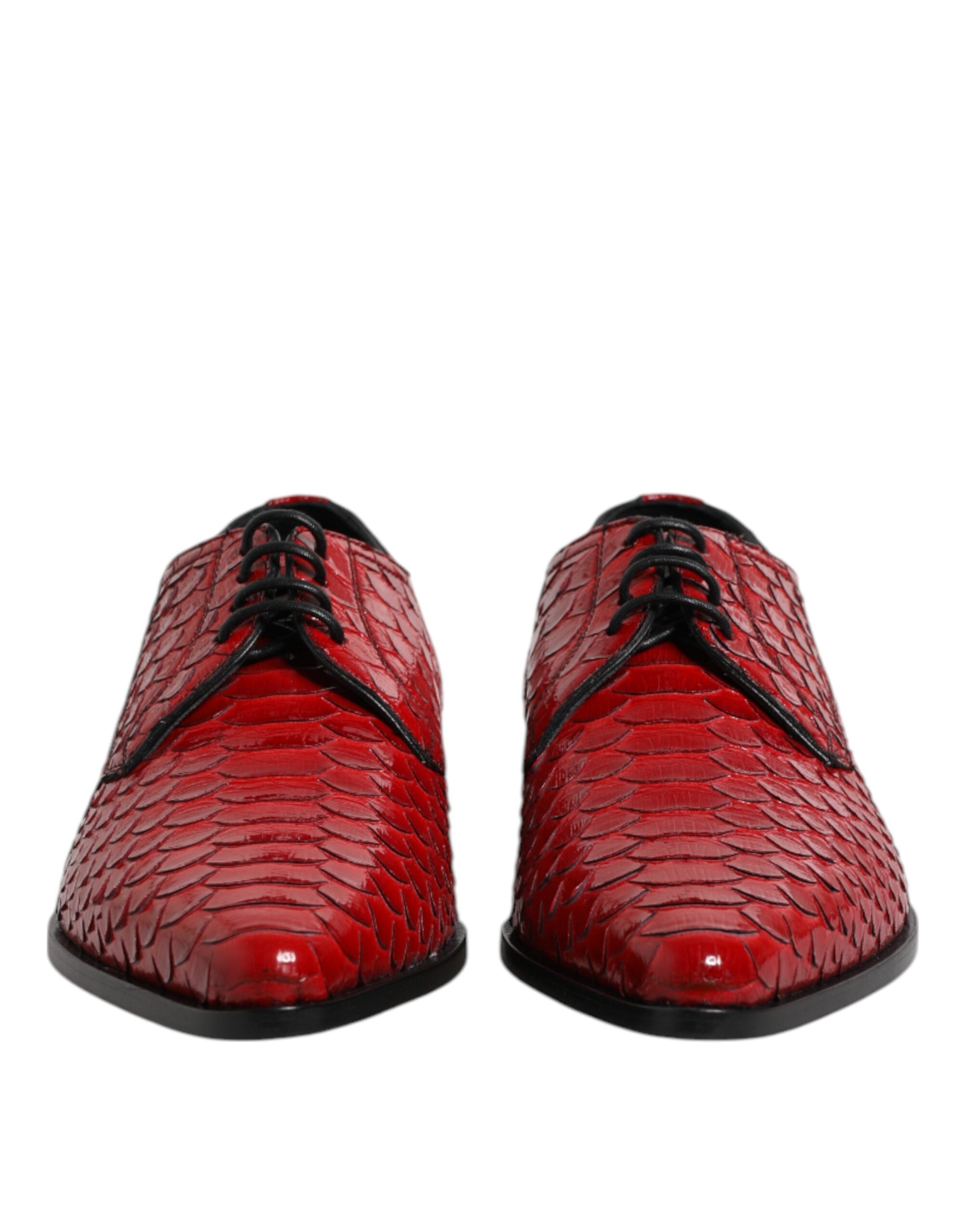 Zapatos Derby de vestir con cordones de piel exótica roja de Dolce & Gabbana-2