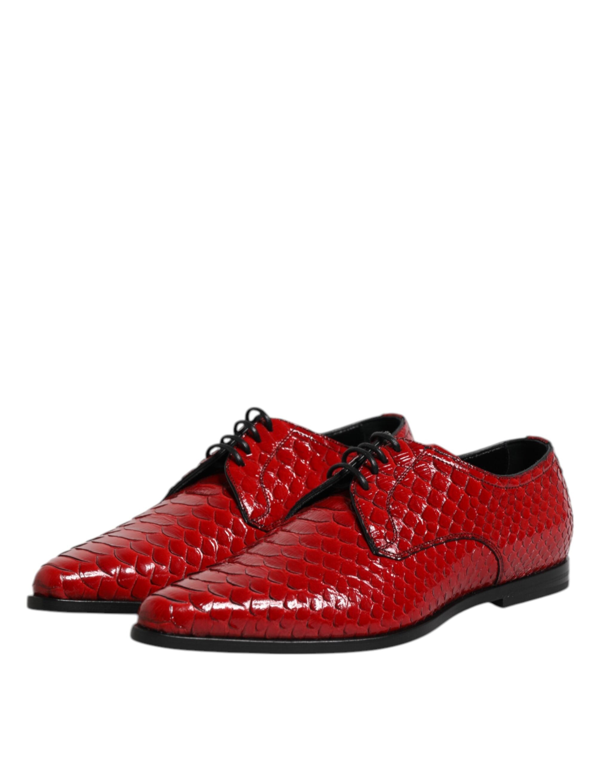Zapatos Derby de vestir con cordones de piel exótica roja de Dolce & Gabbana-4