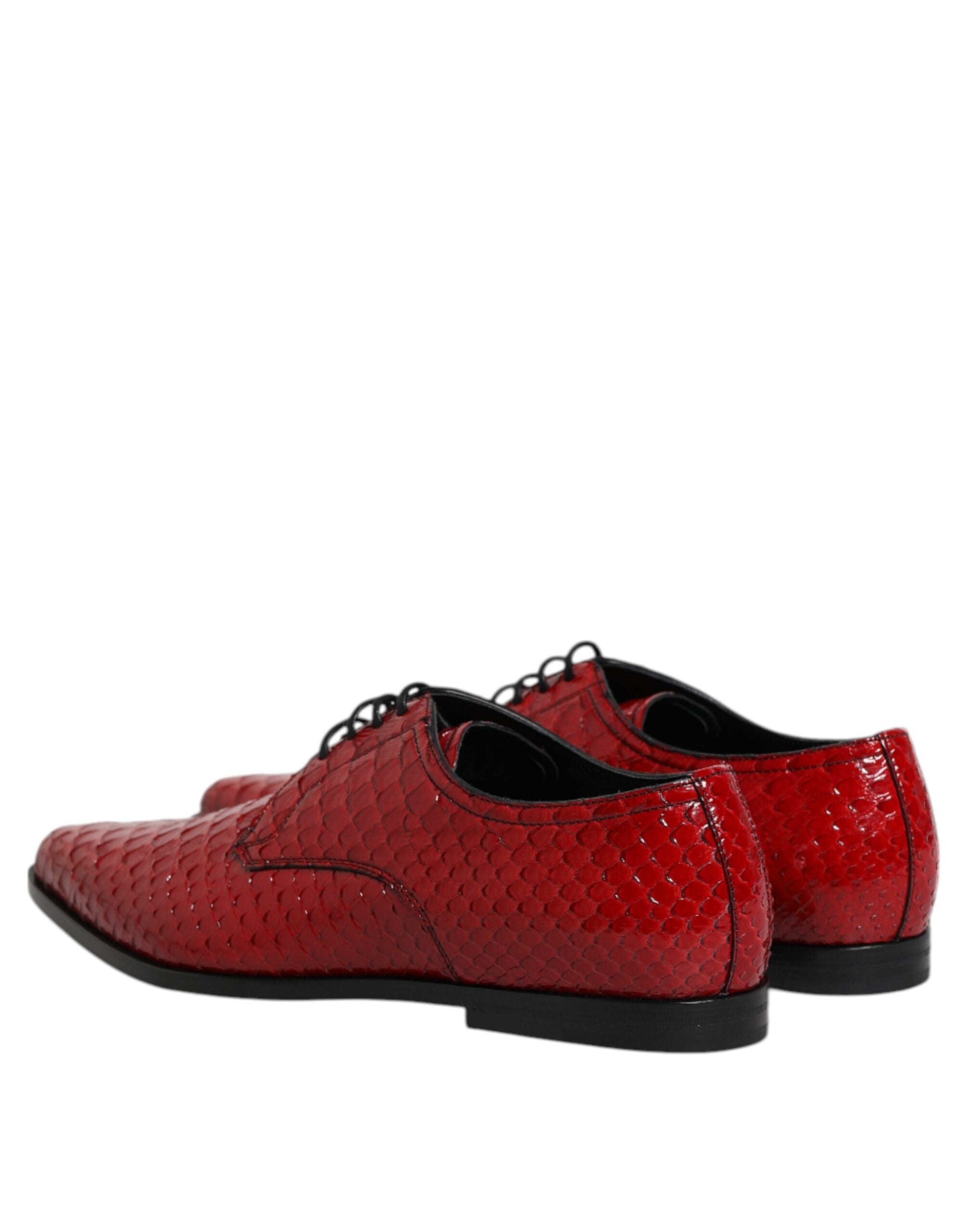 Zapatos Derby de vestir con cordones de piel exótica roja de Dolce & Gabbana-5