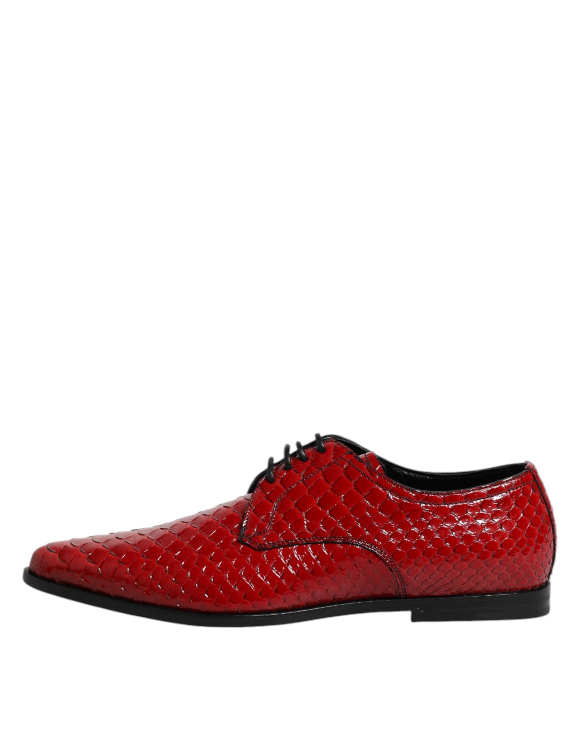 Zapatos Derby de vestir con cordones de piel exótica roja de Dolce & Gabbana-6