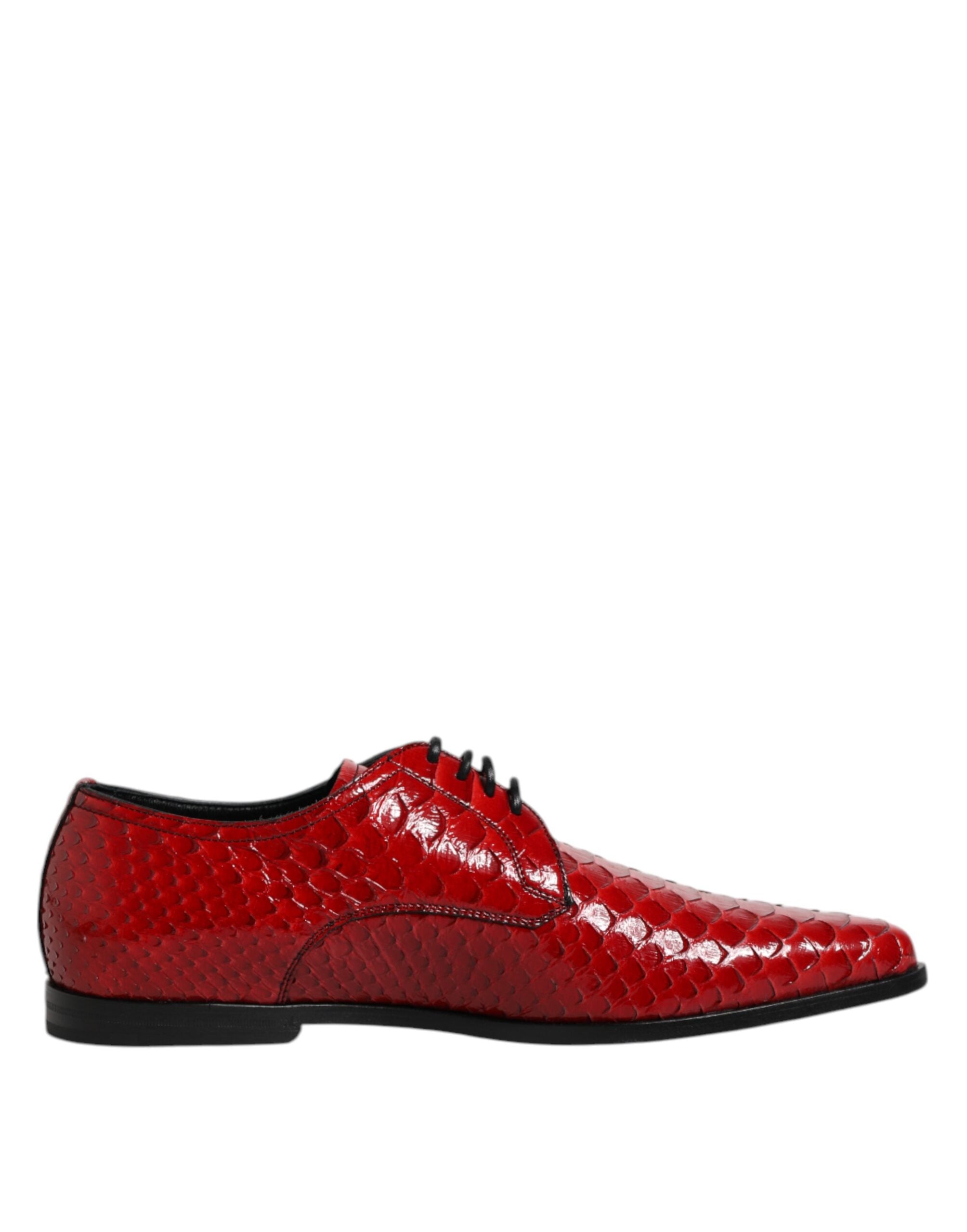 Zapatos Derby de vestir con cordones de piel exótica roja de Dolce & Gabbana-1