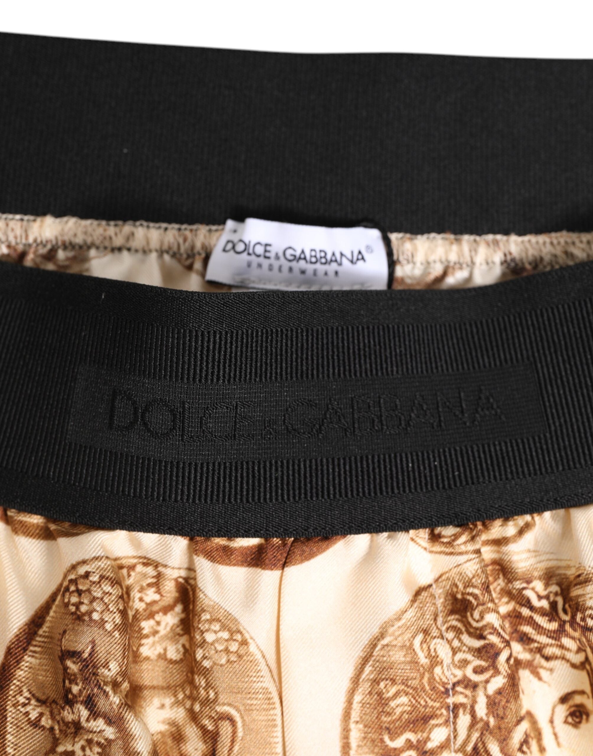 Dolce & Gabbana Brown Ancient Coin Print Silk Shorts Swimwear-4