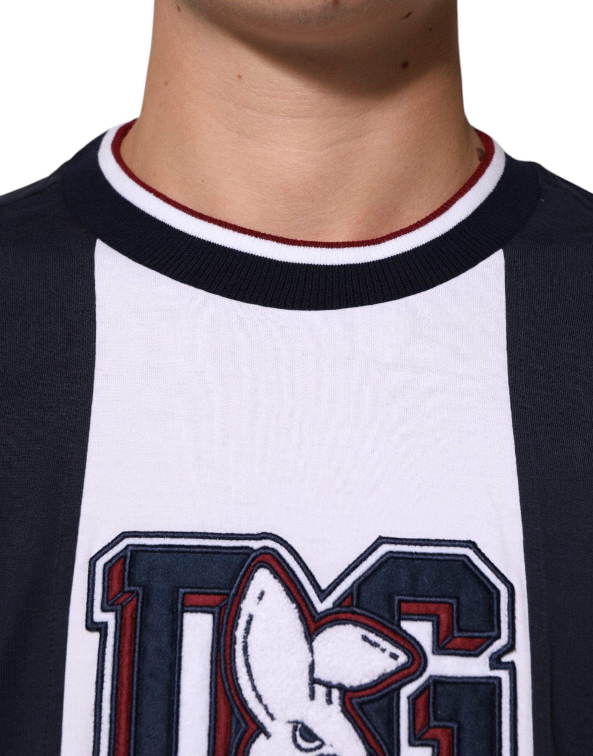 Dolce & Gabbana multicoloured striped cotton crew neck t-shirt for men-5