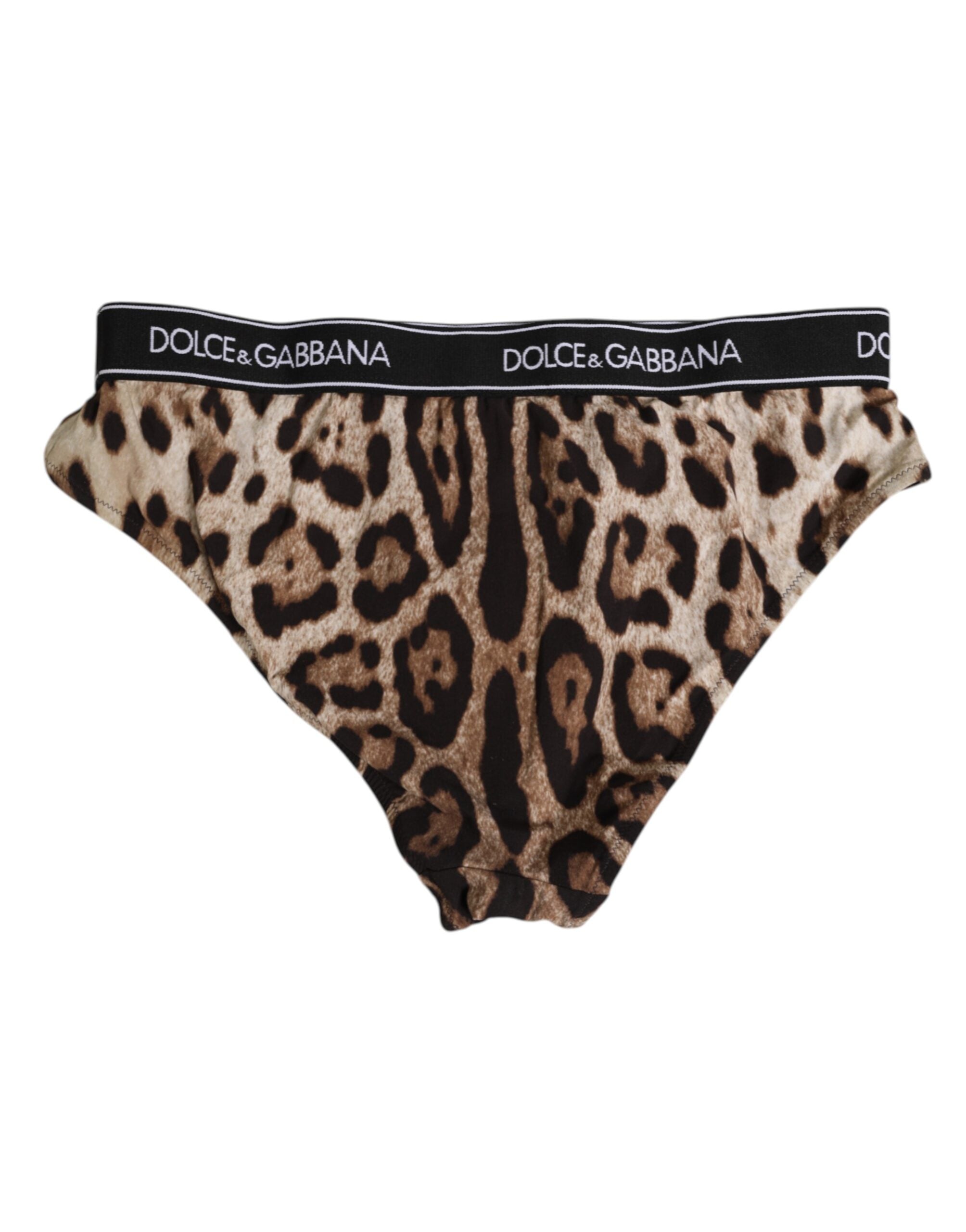 Dolce & Gabbana Brown Leopard High-Waisted Nylon Panties Underwear-4