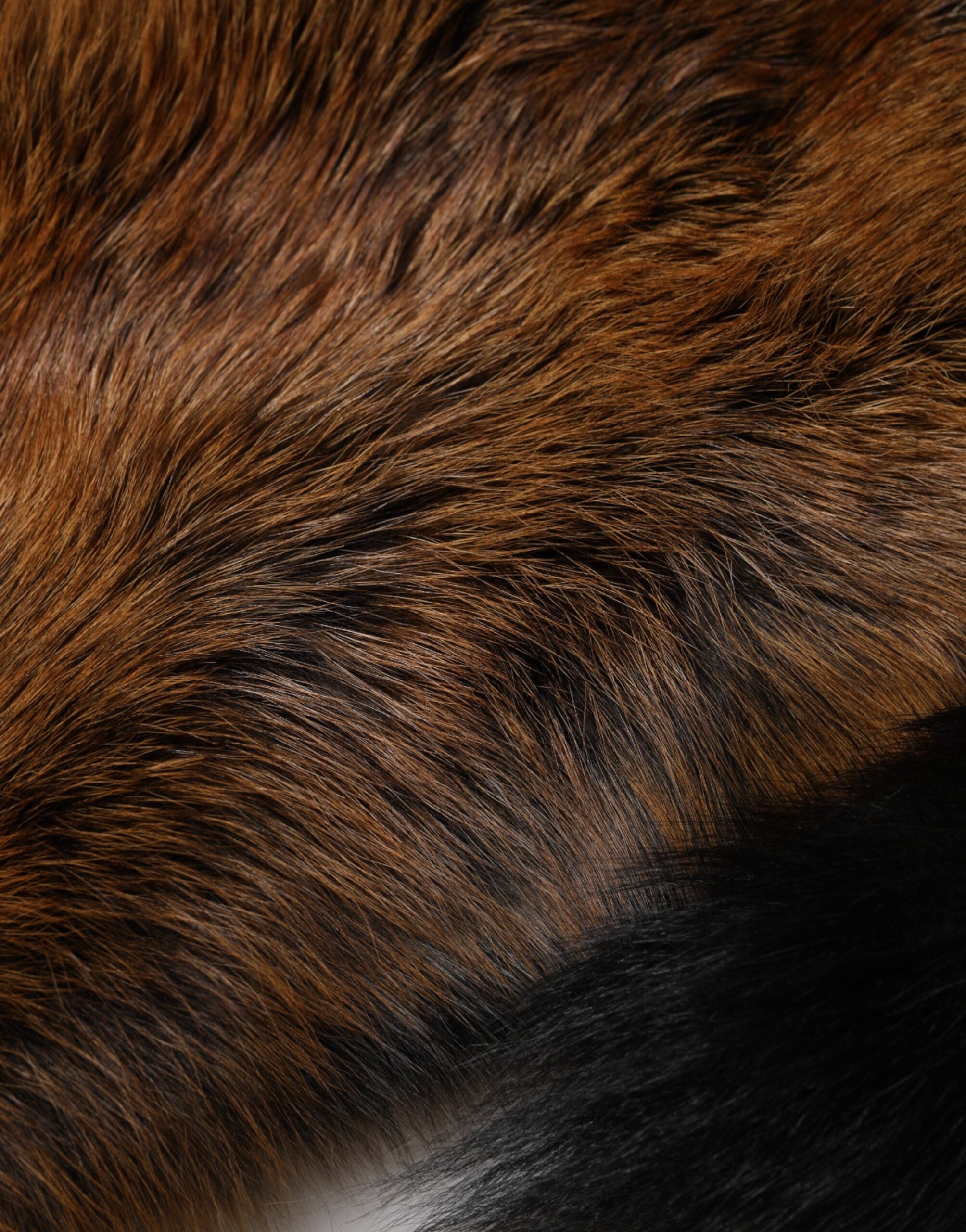 Dolce & Gabbana Brown Red Fox Fur Neck Cashmere Warmer Scarf-8