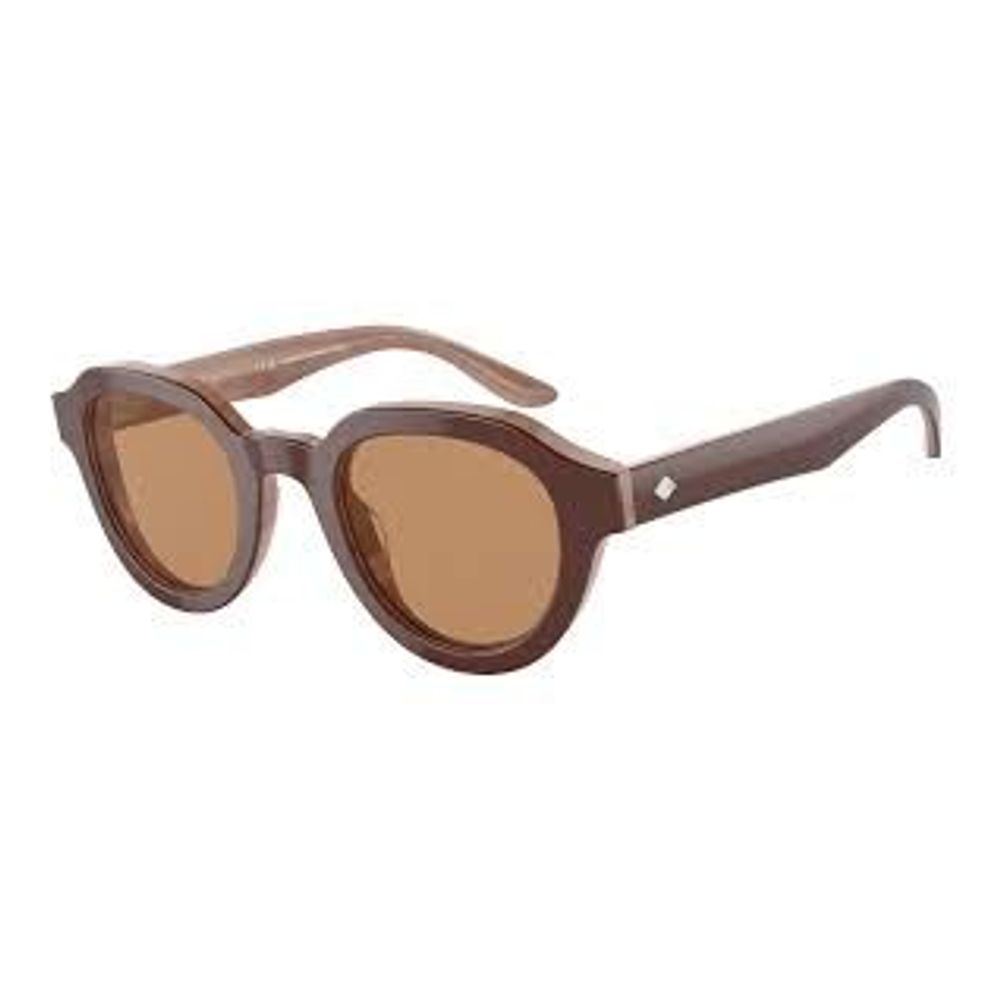 Giorgio Armani brown acetate sunglasses-1