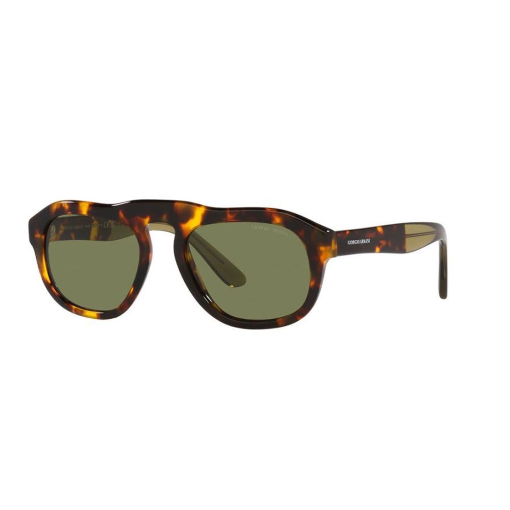 Giorgio Armani brown acetate sunglasses-1