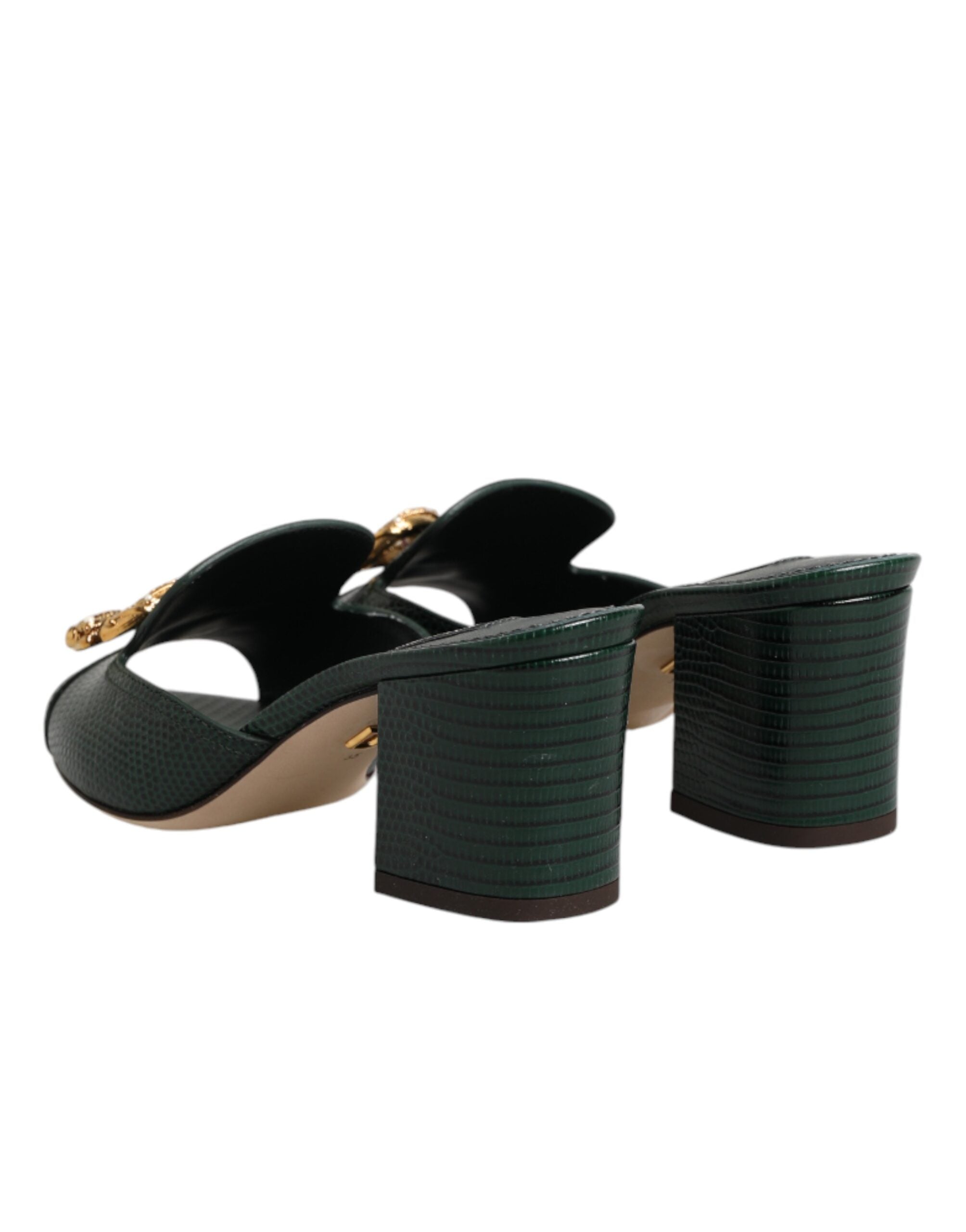 Dolce & Gabbana Green DG Amore Heeled Mules-6